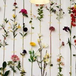 Meet your Posher, Naila